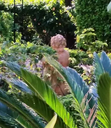 La Francesa מאלגה