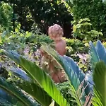 La Francesa Màlaga